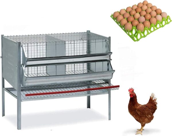 Gabbia Per Galline Ovaiole 2 Posti