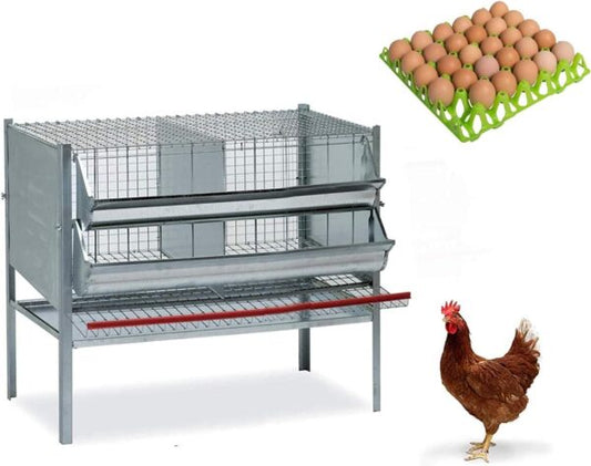 Gabbia Per Galline Ovaiole 2 Posti