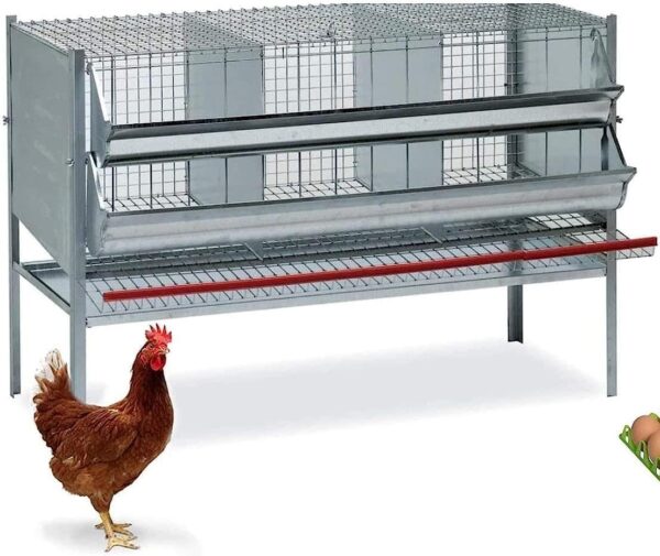 Gabbia Per Galline Ovaiole 3 Posti