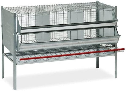 Gabbia Per Galline Ovaiole 3 Posti