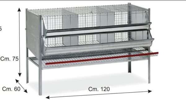 Gabbia Per Galline Ovaiole 3 Posti