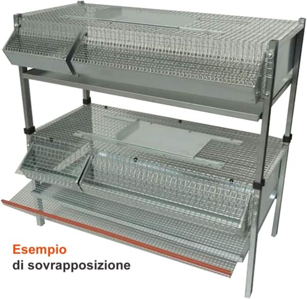 Gabbia per Quaglie ingrasso
