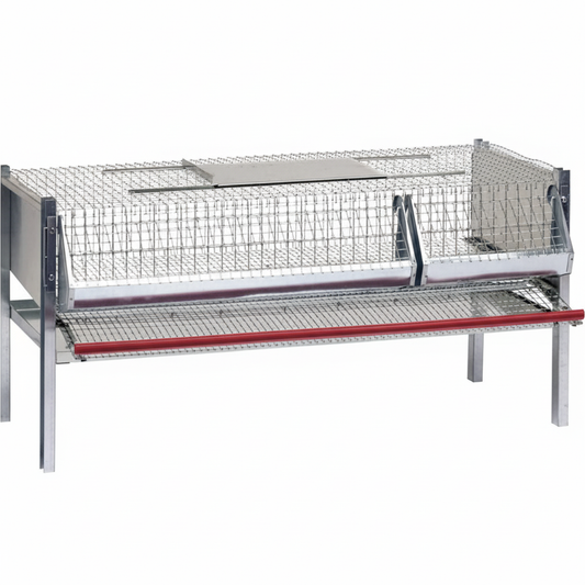 Gabbia Quaglie - Immagine 2