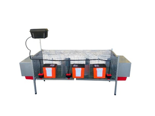 Gabbia Conigli Rabbit Delux Conigliera 3 Scomparti