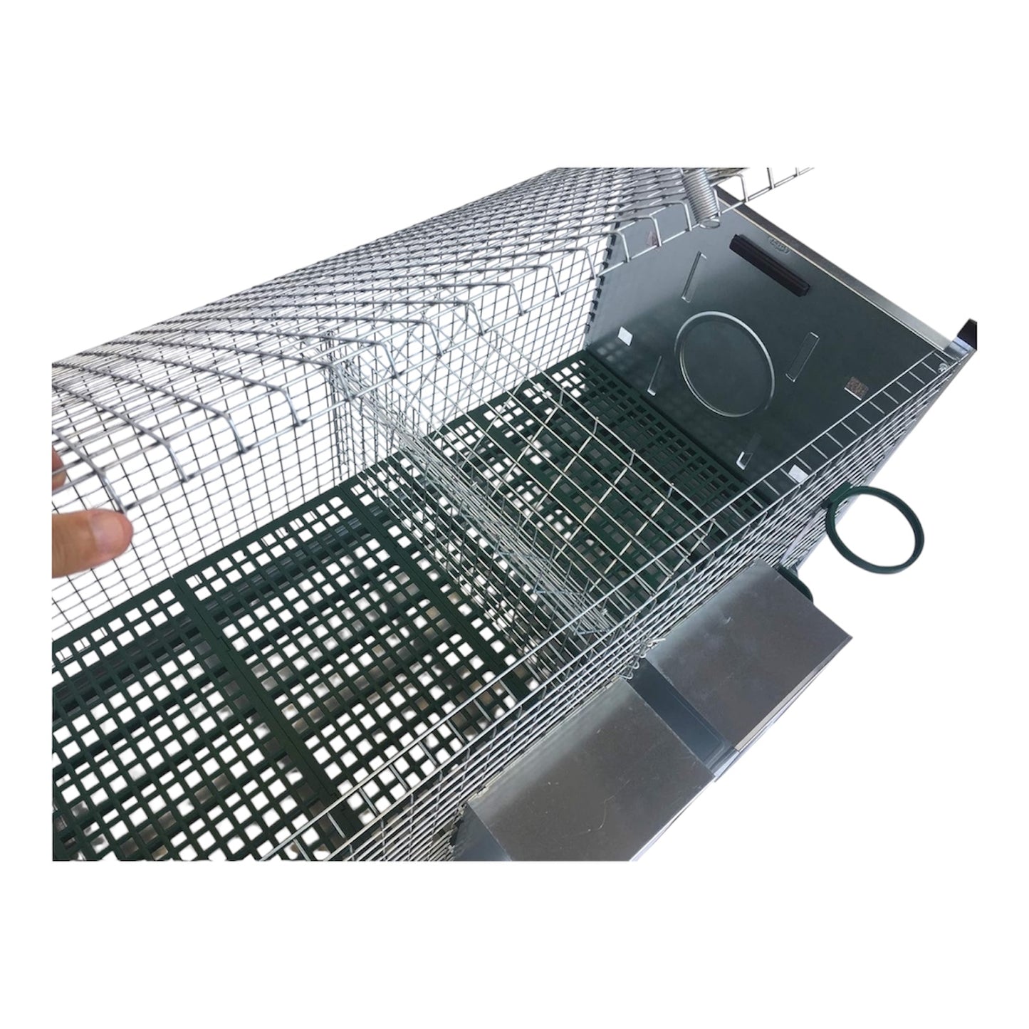 Gabbia Conigli Amalfi 2 Fattrici