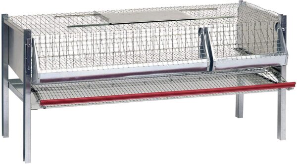 Gabbia per Quaglie Ovaiole