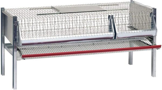 Gabbia per Quaglie Ovaiole