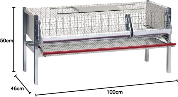 Gabbia per Quaglie Ovaiole