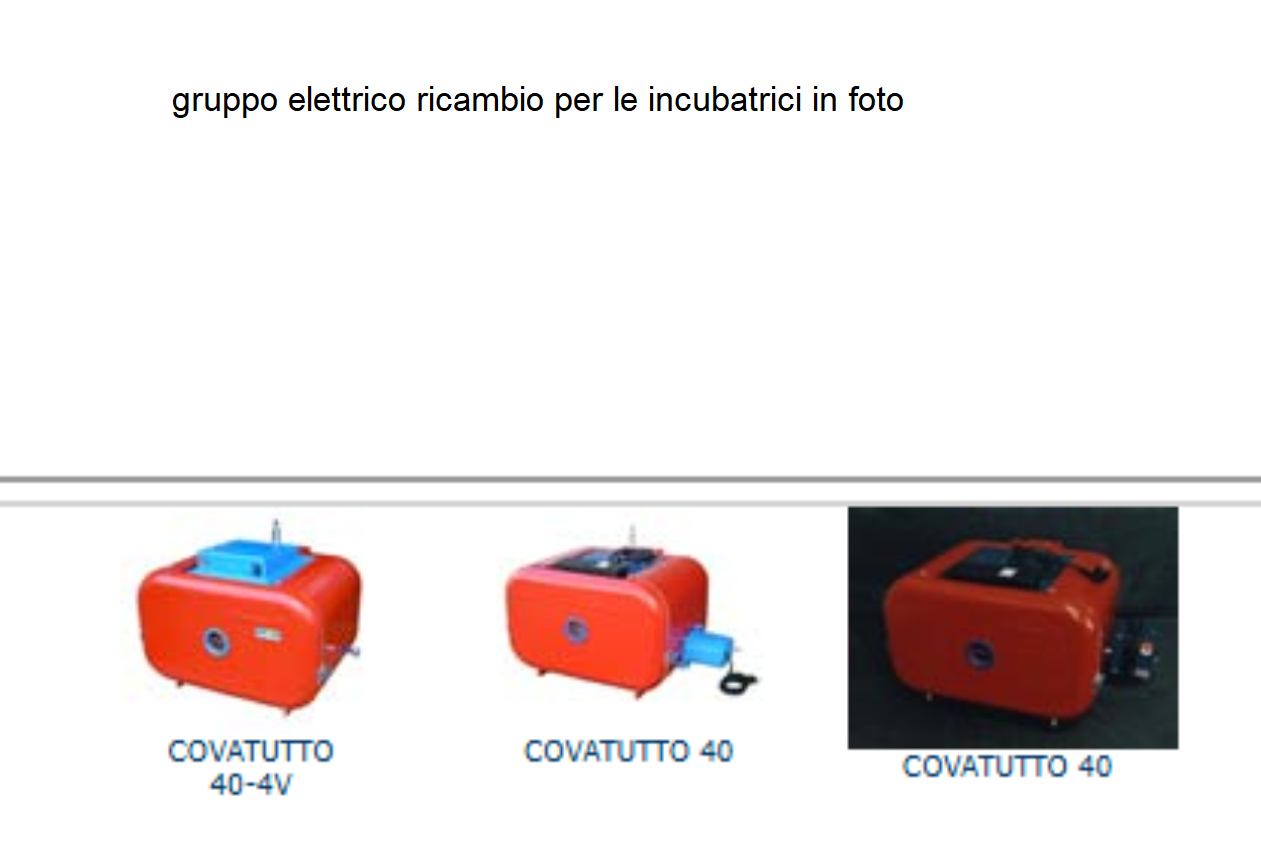 Gruppo Elettrico per incubatrice COVATUTTO 40-4V