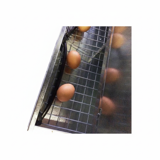 Nido 5 Posti per Galline Ovaiole Raccolta Uova Esterna