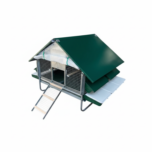 Pollaio Anti-Predatori Positano