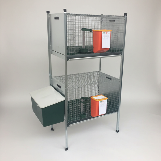 Immagine 1 - Formato quadrato