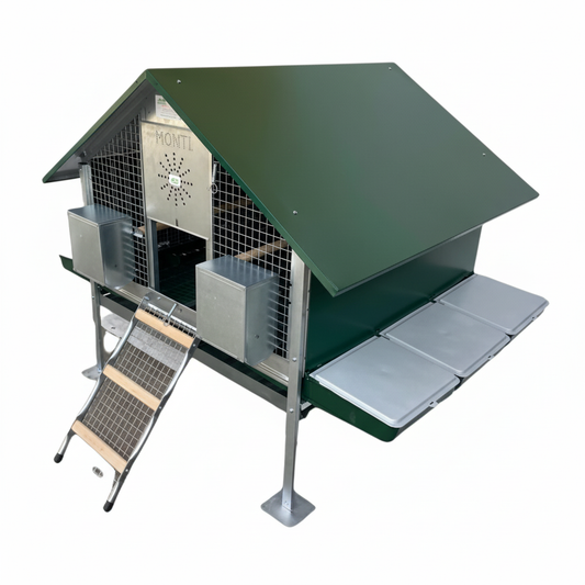 Immagine 1 - Formato quadrato