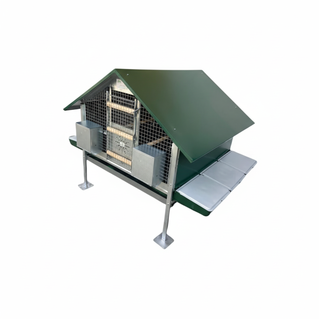 Immagine 10 - Formato quadrato