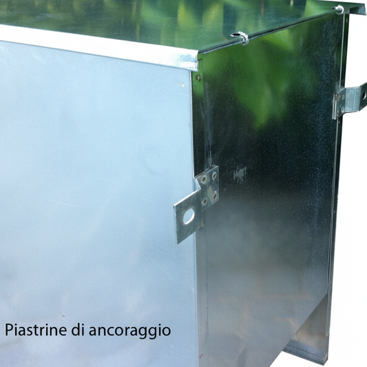 Immagine 3