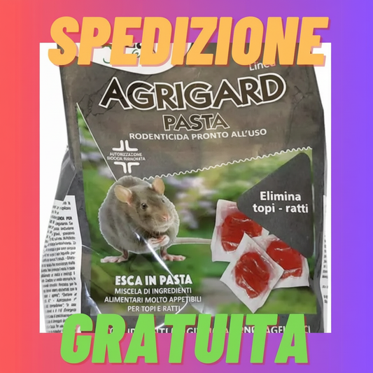 Immagine 3