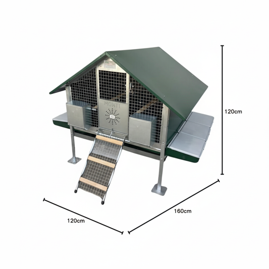 Immagine 4 - Formato quadrato