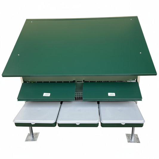 Immagine 5 - Formato quadrato