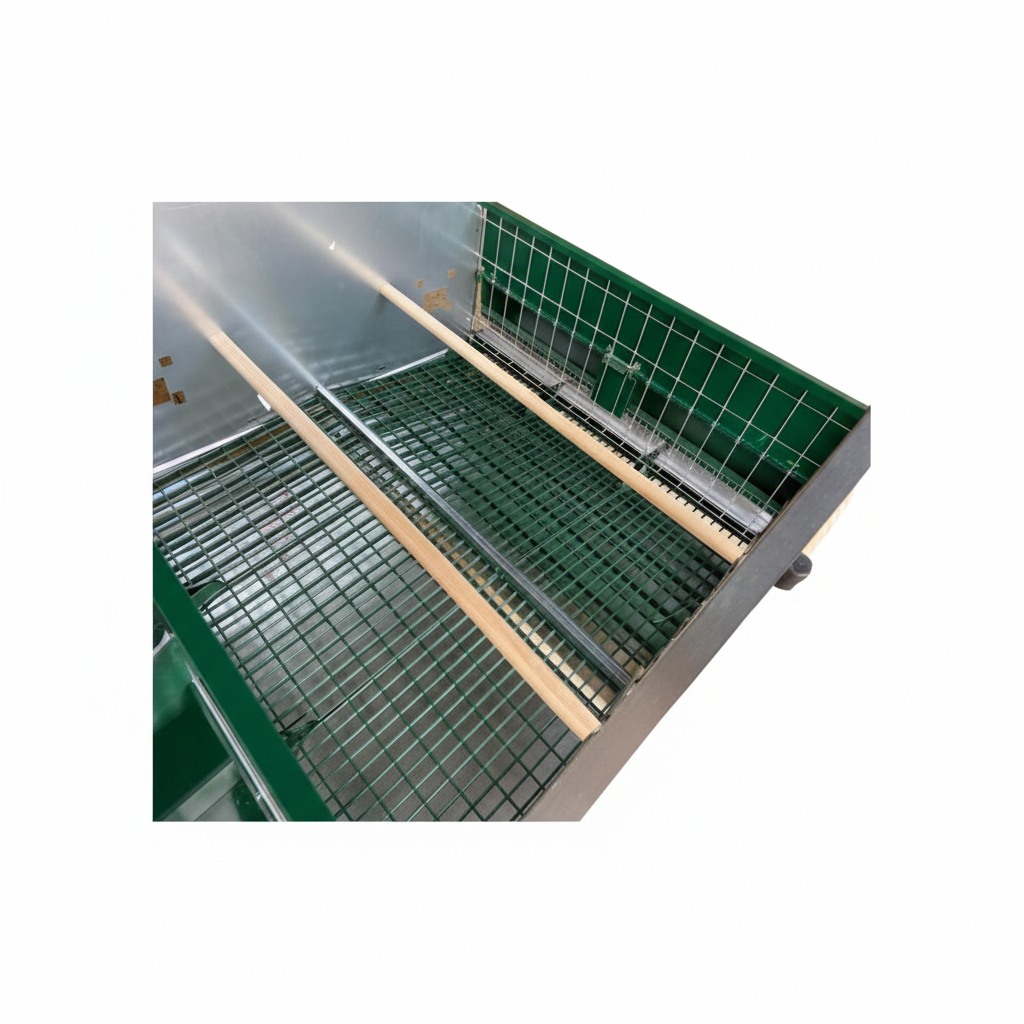 Immagine 8 - Formato quadrato