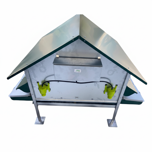 Immagine 9 - Formato quadrato