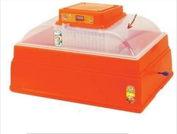 Incubatrice Covatutto 54 Digitale