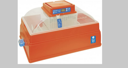 Incubatrice Covatutto 54 Digitale