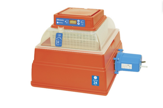 Incubatrice Covatutto 24 Digitale Automatica