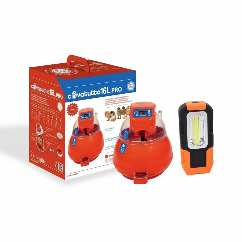 Incubatrice 1
