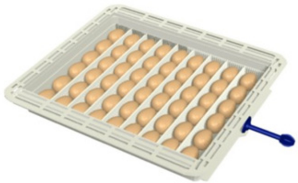 Incubatrice Analogica Covatutto 108 Automatica