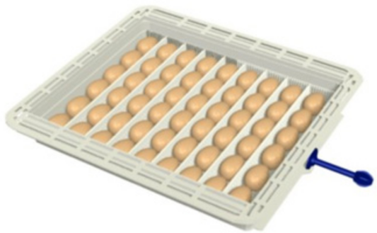 Incubatrice Analogica Covatutto 108 Automatica