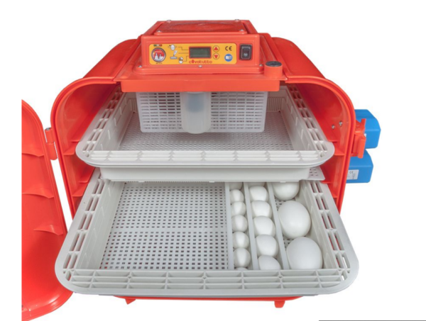 Incubatrice Digitale Covatutto 108 Automatica