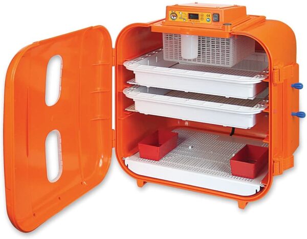 Incubatrice Digitale Covatutto 108 Automatica