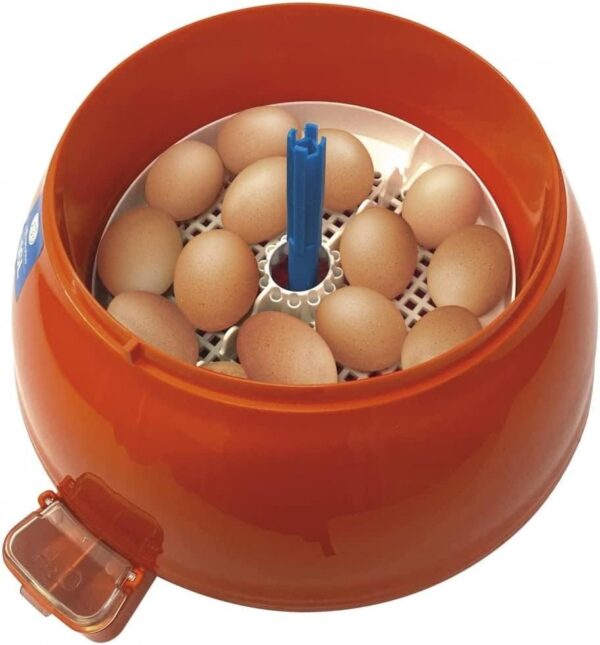 Incubatrice Digitale Covatutto 16L Pro + Omaggio