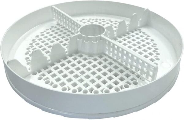 Incubatrice Digitale Covatutto 16L Pro + Omaggio