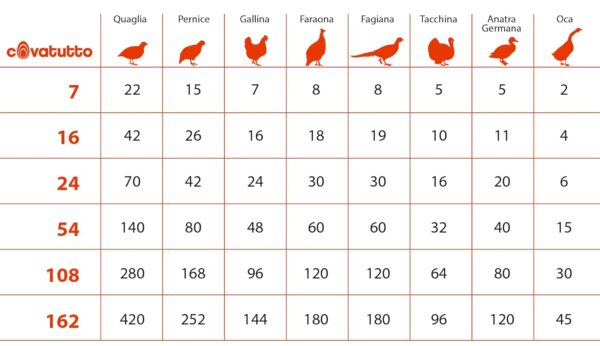 Incubatrice Covatutto 24 Digitale Automatica