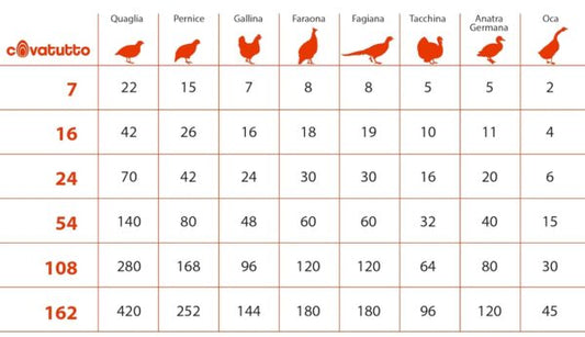 Incubatrice Covatutto 24 Digitale