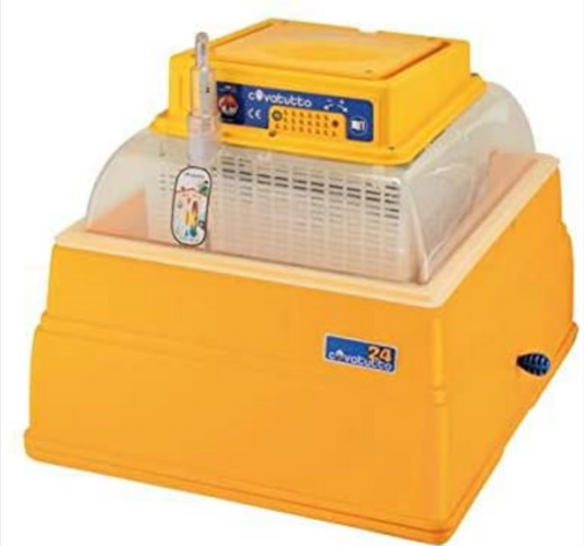 Incubatrice Analogica Covatutto 24 Coibentata Automatica