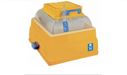 Incubatrice Analogica Covatutto 24 Coibentata
