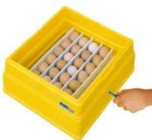 Incubatrice Analogica Covatutto 24 Coibentata Automatica