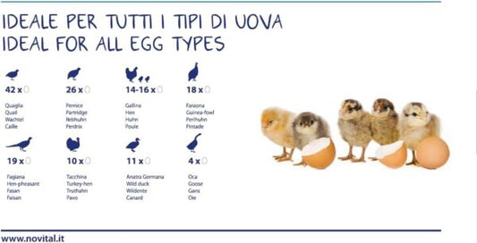 Incubatrice Covatutto 16L FAN