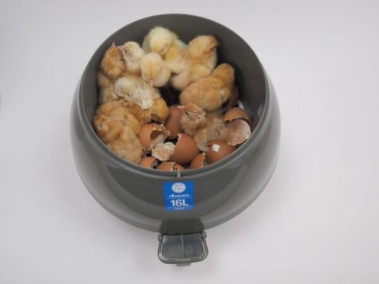 Incubatrice Covatutto 16L FAN