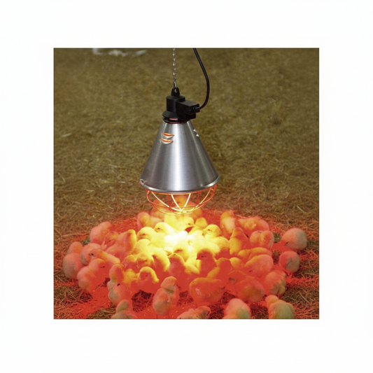 Kit Lampada Infrarossi - Immagine 4