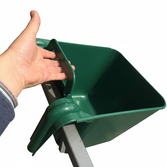 Mangiatoia cavalli - immagine 5