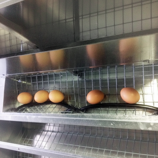 Nido 3 Posti Raccolta Esterna - Immagine 6