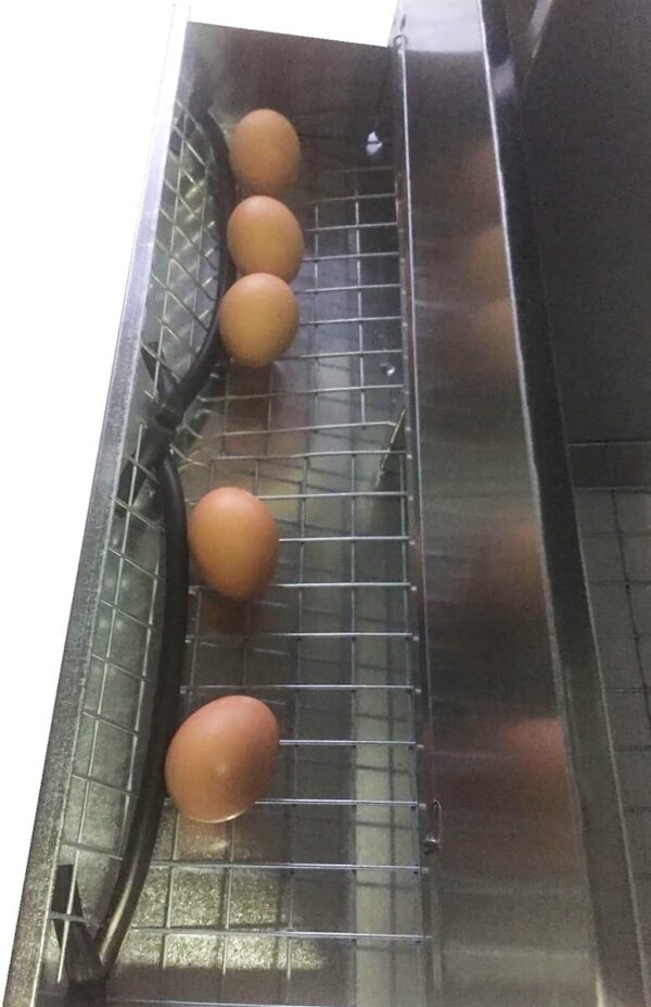 Nido 4 Posti per Galline Ovaiole Raccolta Uova Interna