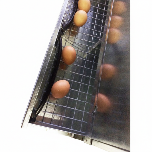 Nido 5 Posti - Immagine 4