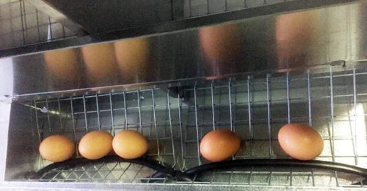 Nido 3 Posti per Galline Ovaiole Raccolta Uova Esterna