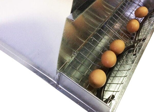 Nido 2 Posti per Galline Ovaiole Raccolta Uova Esterna