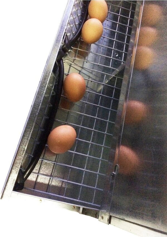 Nido 5 Posti per Galline Ovaiole Raccolta Uova Esterna