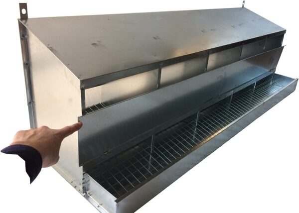 Nido 5 Posti per Galline Ovaiole Raccolta Uova Interna